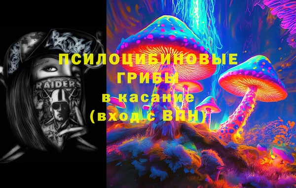 стаф Верея