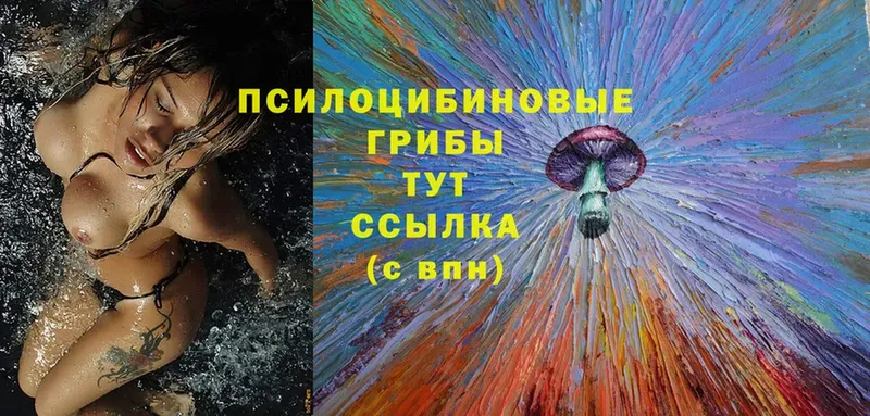 Псилоцибиновые грибы MAGIC MUSHROOMS  гидра ONION  Заволжье 